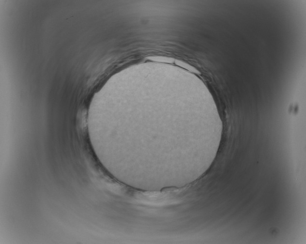 X0000111840041200909031714