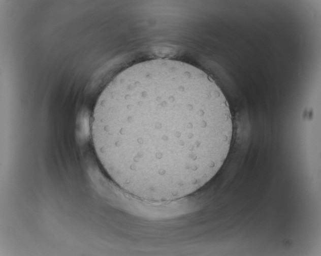 X0000111840042200909031714