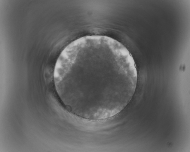 X0000111840043200909031714