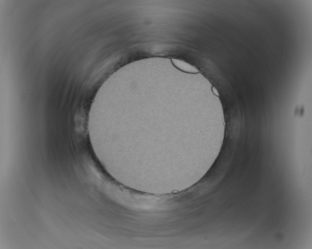 X0000111840044200909031714