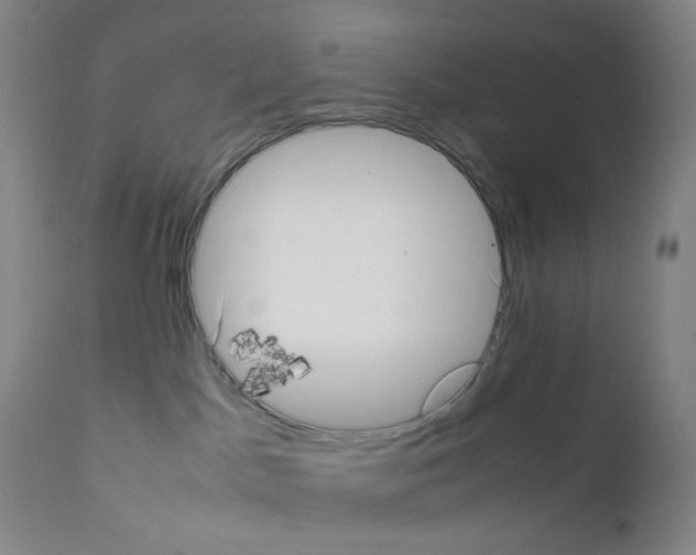 X0000111840045200909031714