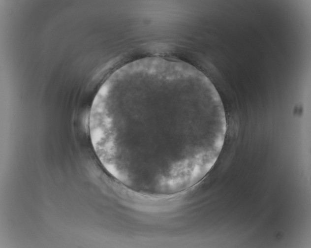 X0000111840047200909031714