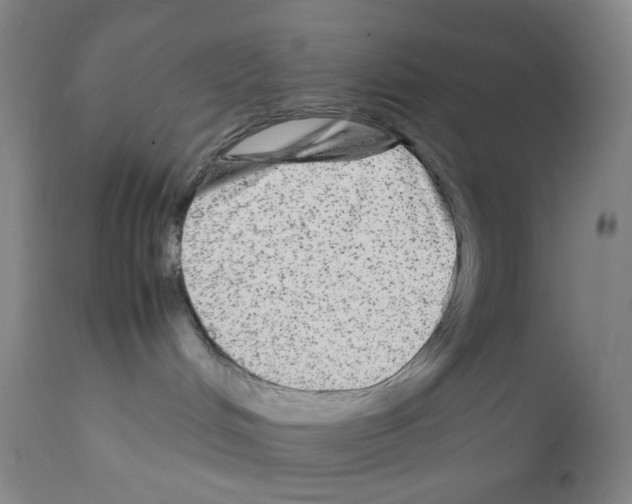 X0000111840048200909031714