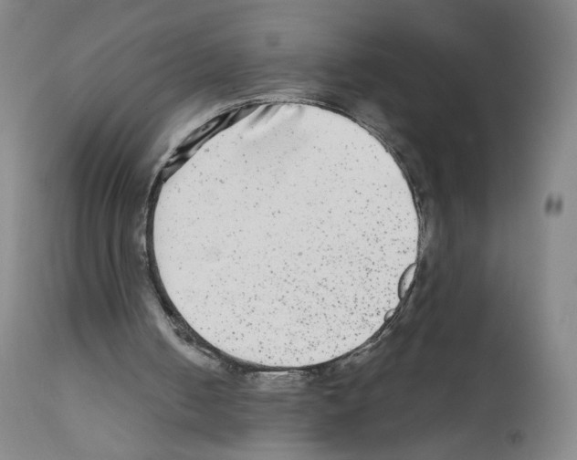 X0000111840050200909031713