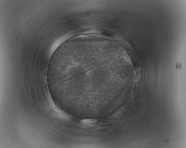 X0000111840051200909031713