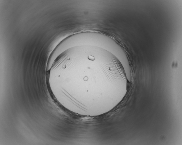 X0000111840052200909031713