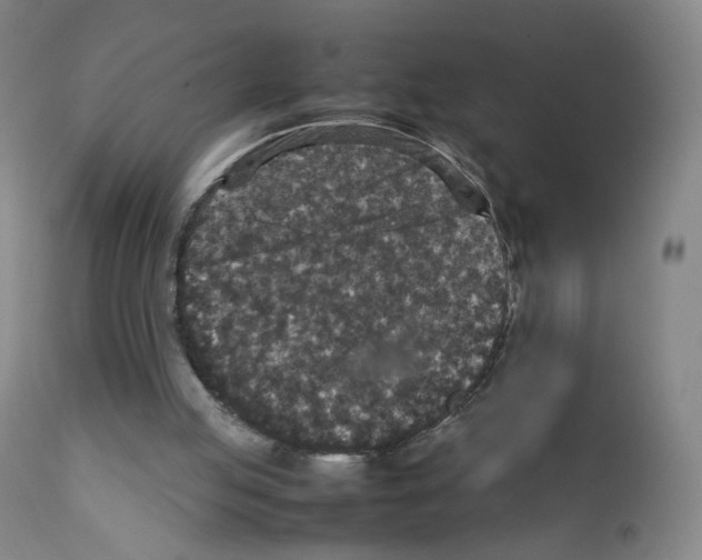 X0000111840053200909031713