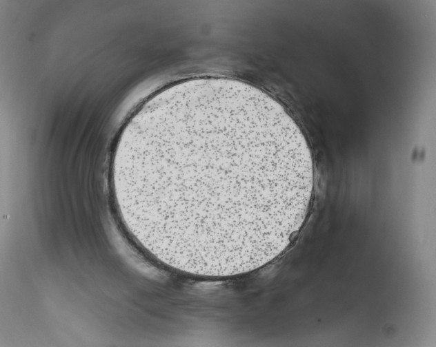 X0000111840054200909031713