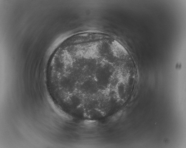 X0000111840055200909031713