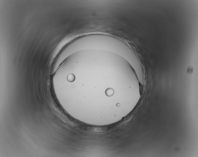 X0000111840056200909031713