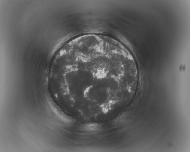 X0000111840059200909031713