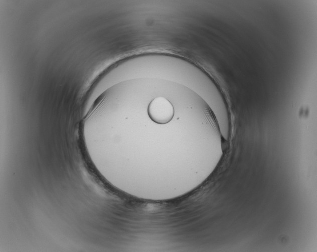 X0000111840060200909031713