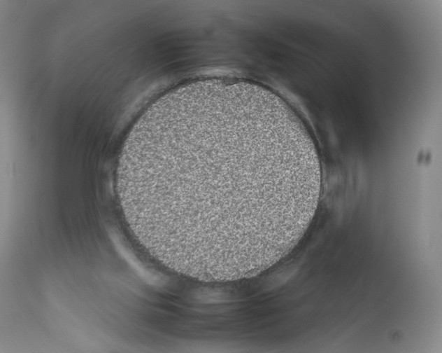 X0000111840061200909031713