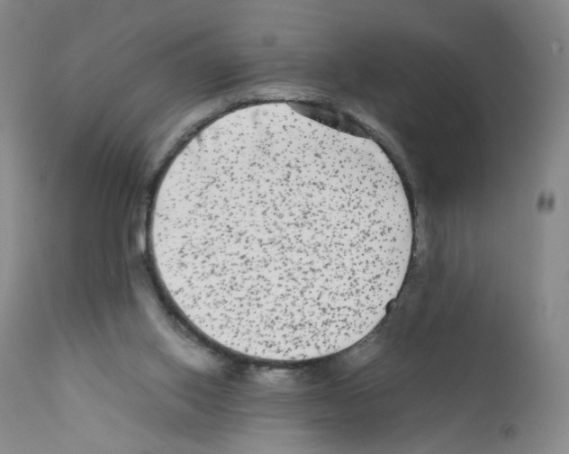 X0000111840062200909031713