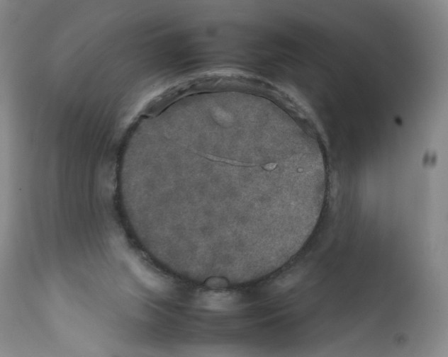 X0000111840063200909031713