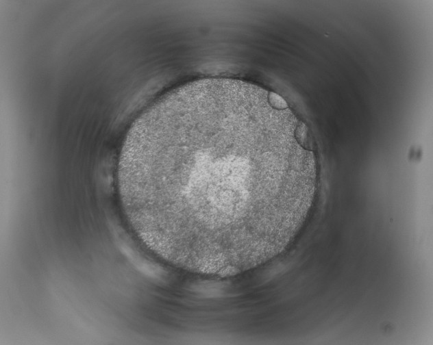 X0000111840065200909031713