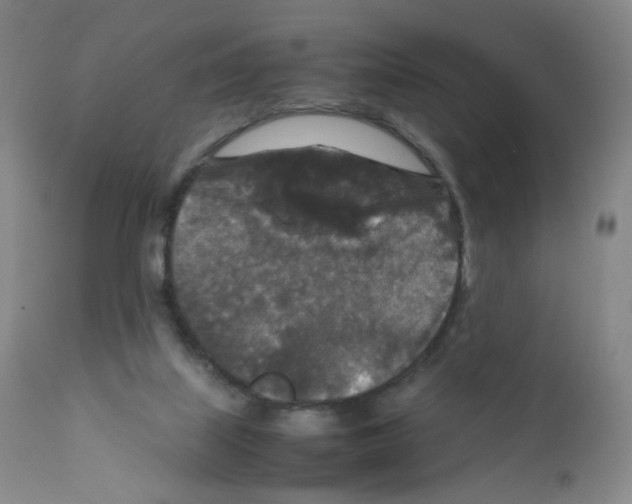 X0000111840067200909031713