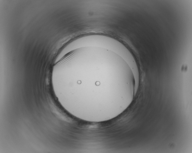 X0000111840068200909031713