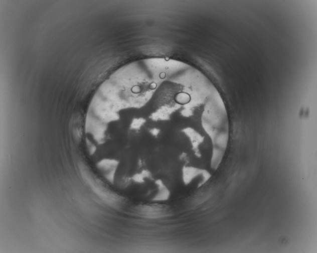 X0000111840069200909031713