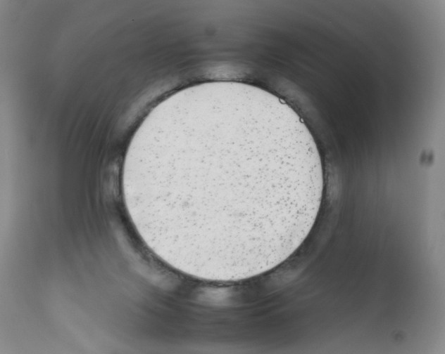 X0000111840071200909031713