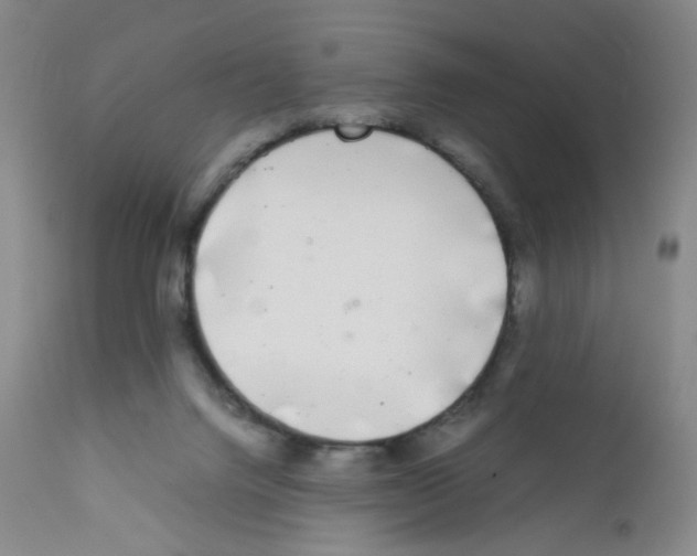 X0000111840072200909031713