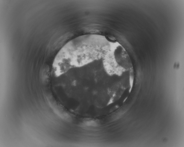 X0000111840073200909031713