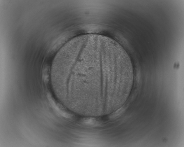 X0000111840074200909031713