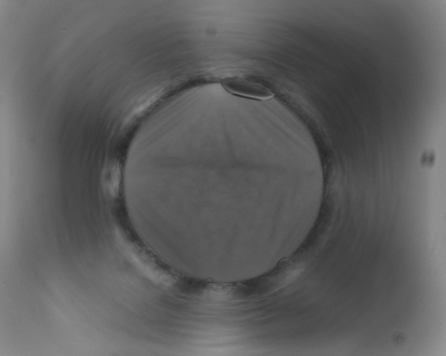 X0000111840076200909031714