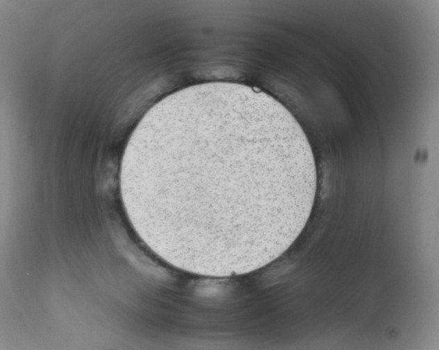 X0000111840077200909031714