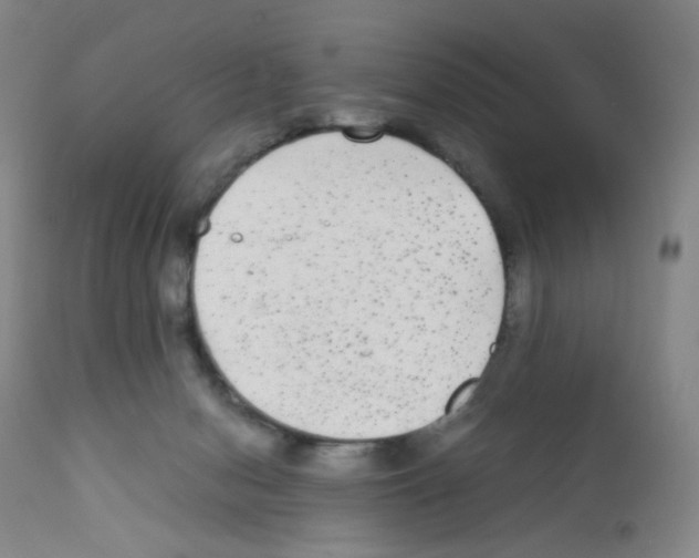 X0000111840078200909031714