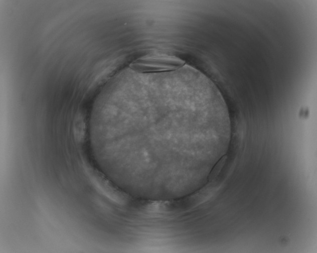 X0000111840080200909031714