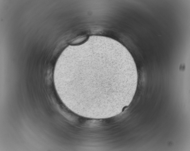 X0000111840082200909031714