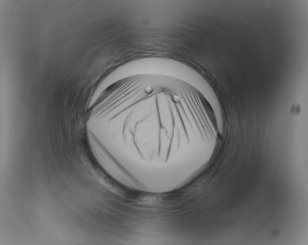 X0000111840084200909031714