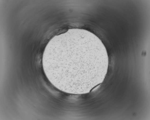 X0000111840086200909031714