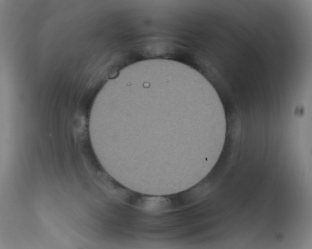 X0000111840087200909031714