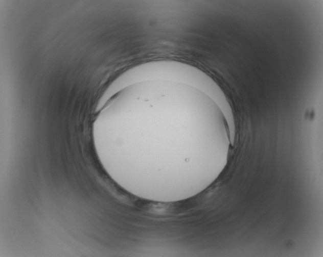 X0000111840088200909031714