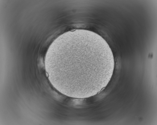 X0000111840089200909031714