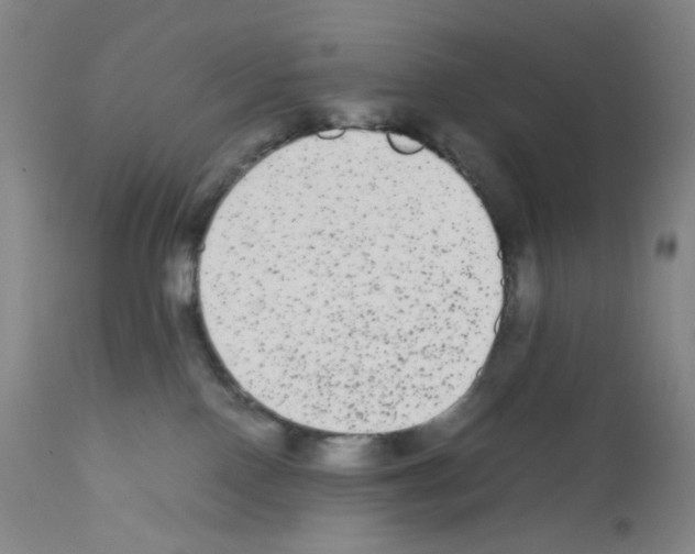 X0000111840090200909031714