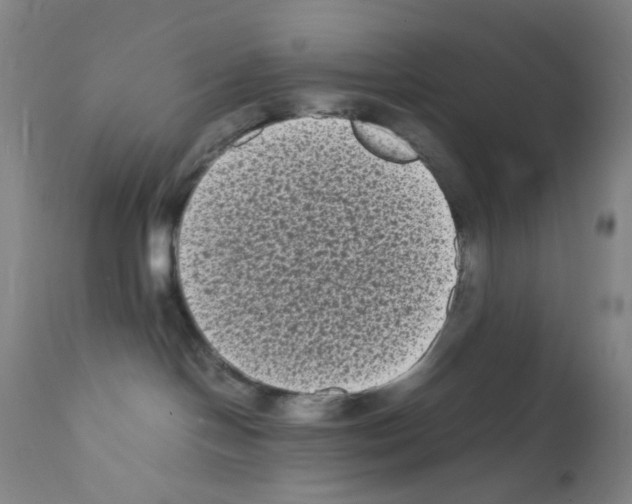 X0000111840094200909031714