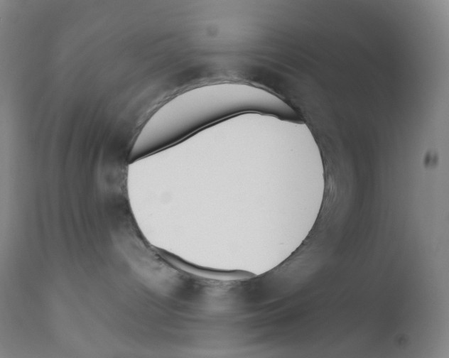 X0000111840096200909031714