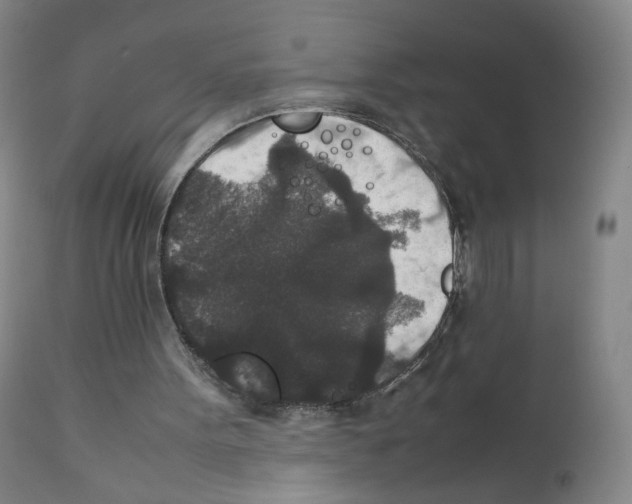 X0000111840099200909031713