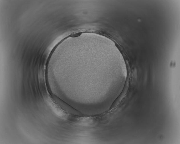 X0000111840100200909031713