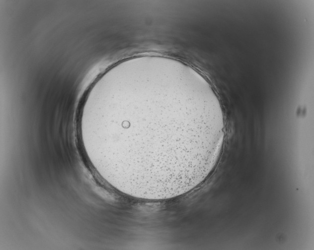 X0000111840102200909031713