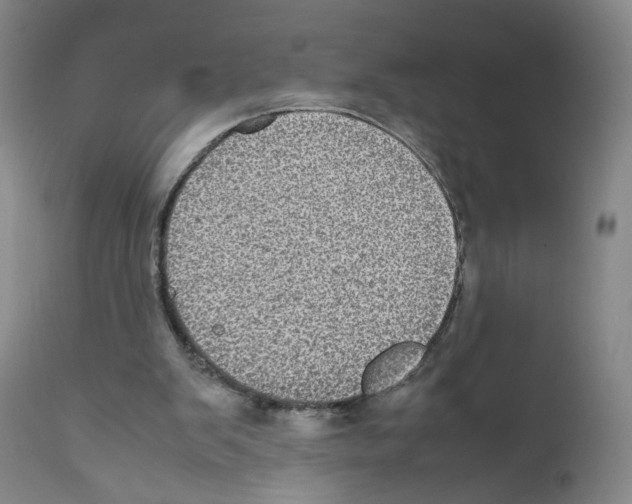 X0000111840103200909031713