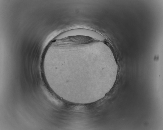 X0000111840104200909031713