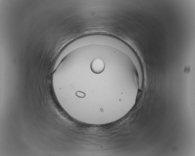 X0000111840105200909031713