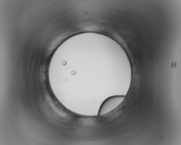 X0000111840106200909031713