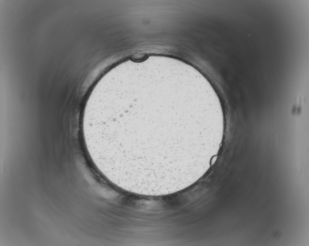 X0000111840107200909031713