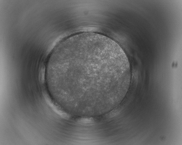 X0000111840110200909031713