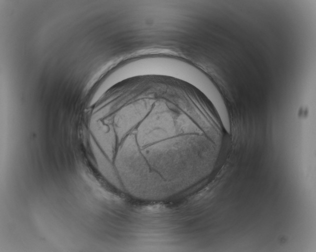 X0000111840112200909031713